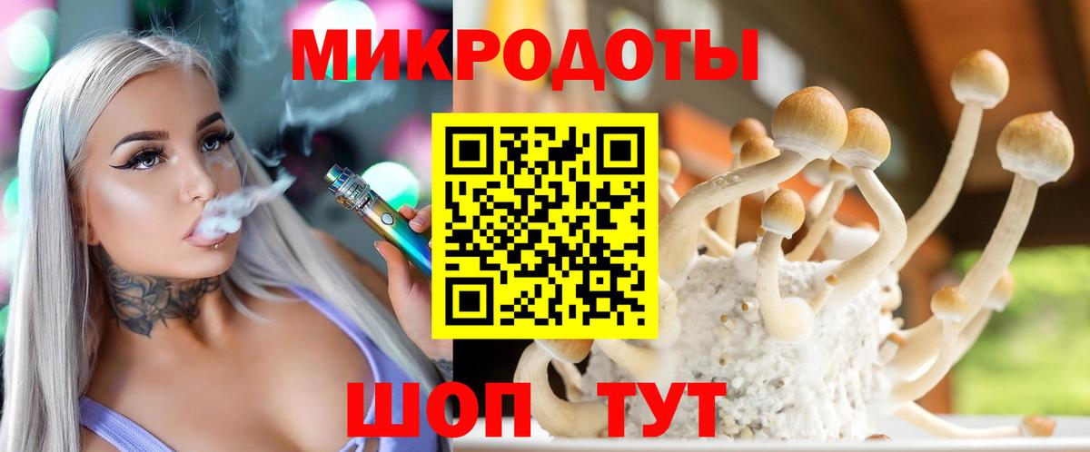 Большой Камень  Псилоцибиновые грибы ЛСД  Вход с VPN 