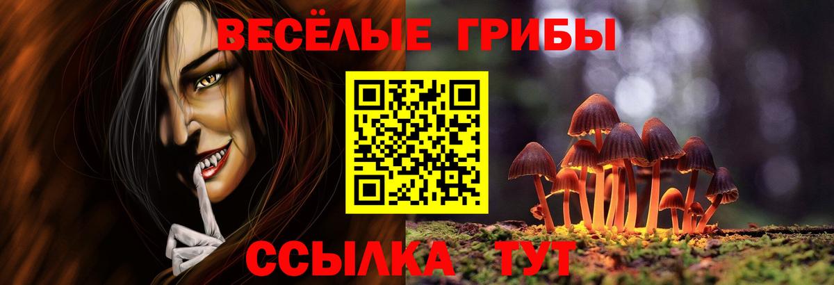 Псилоцибиновые грибы MAGIC MUSHROOMS Большой Камень